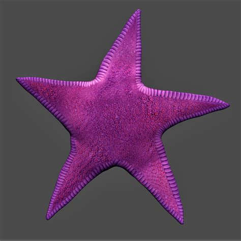 starfish